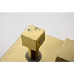 1-Spray Patterns Shower Head With Dual Wall Mount 1.5 GPM In Brushed Gold -FURITURE SALE SHOP brushed gold tahanbath dual shower heads y w928115309 1f 1000