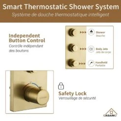 3-Spray Patterns Ceiling Mount Dual Handheld Shower Head 1.8 GPM In Brushed Gold 18 3-Spray Patterns Ceiling Mount Dual Handheld Shower Head 1.8 GPM In Brushed Gold -FURITURE SALE SHOP brushed gold tahanbath dual shower heads z 102009lk 3 76 1000