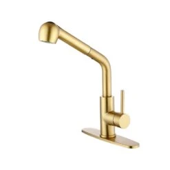 Single Handle Kitchen Sink Faucet With Pull Out Sprayer In Brushed Gold