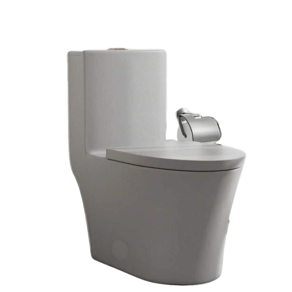 Dual Flush Single Flush: Other Elongated One Piece Toilet Grey 1 Dual Flush Single Flush: Other Elongated One Piece Toilet Grey