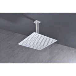 1-Spray Patterns 2.5 GPM Ceiling Mount Fixed Shower Head In White 12 1-Spray Patterns 2.5 GPM Ceiling Mount Fixed Shower Head In White -FURITURE SALE SHOP white fixed shower heads z w928100981 fa 1000